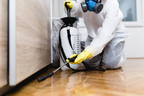 Best Affordable Pest Control Services  in East Bethel, MN