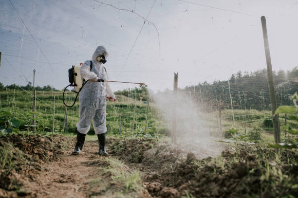 Best Ant Control Services  in East Bethel, MN