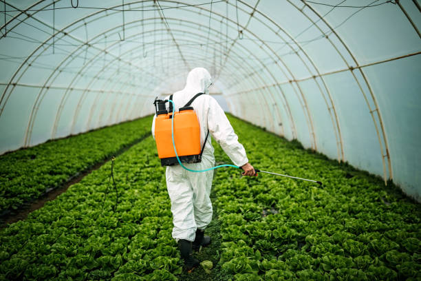 Best Pest Inspection Near Me  in East Bethel, MN