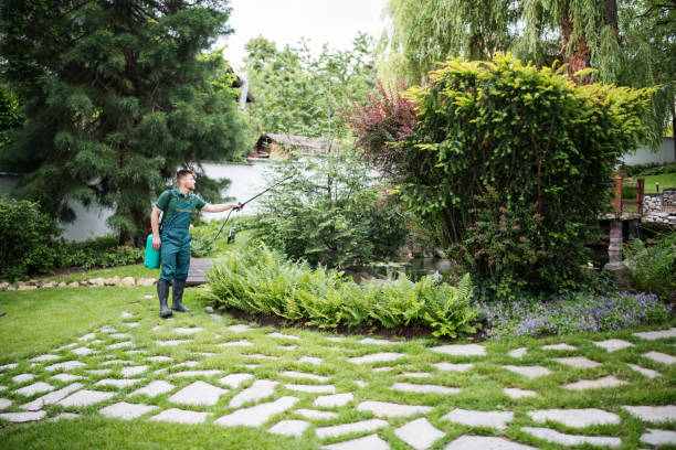 Best Pest Prevention Services  in East Bethel, MN