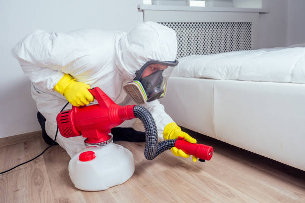 Best Mosquito Control Services  in East Bethel, MN