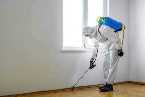 Best Emergency Pest Control  in East Bethel, MN