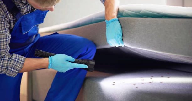 Trusted East Bethel, MN Pest Control Experts