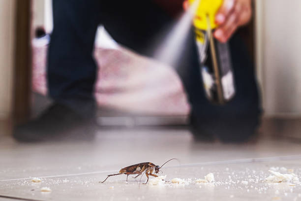 Best Pest Control for Restaurants  in East Bethel, MN