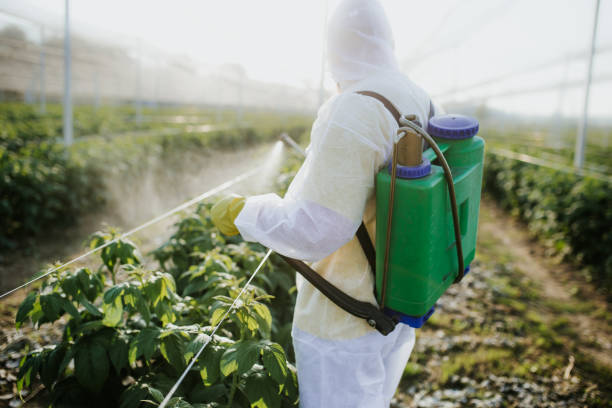 Best Commercial Pest Control Services  in East Bethel, MN